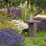 Gardens beautiful year round most flowers plants autumn